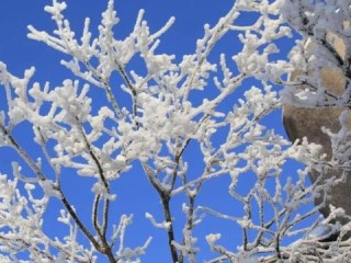 冷空气冻真格！下周重庆将迎雨雪天气，高海拔地区或现银装素裹