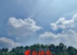 广西天气10天，从湿热到清凉，一场变幻莫测的秋日序曲