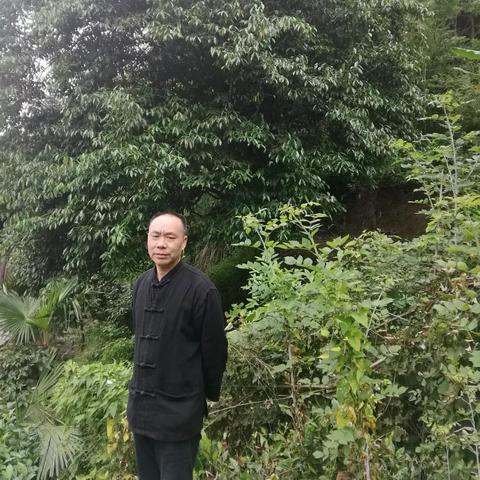 天气在手,风雨不愁,免费天气预报手机版,让你的生活更从容 天气在手,风雨不愁,免费天气预报手机版,让你的生活更从容