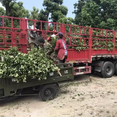 十五天精准天气预报,科技如何让未来不再风云莫测 十五天精准天气预报,科技如何让未来不再风云莫测