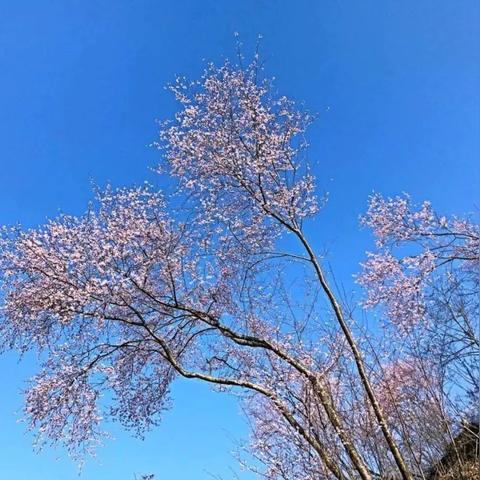 富阳天气预报15天,掌握未来两周天气变化,出行生活早规划 富阳天气预报15天,掌握未来两周天气变化,出行生活早规划