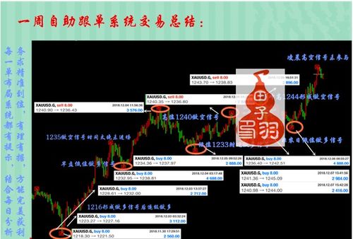 红单达人专家免费中心版V44.93.41.208安卓系统版本-好用
