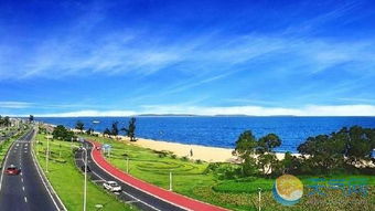 厦门天气预报15天天气，如何科学规划你的海滨之旅？