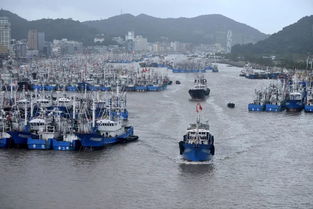 新台风明日登陆浙江,风雨将至,全城备战 新台风明日登陆浙江,风雨将至,全城备战
