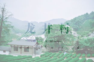 高唐天气，一座小城的四季叙事