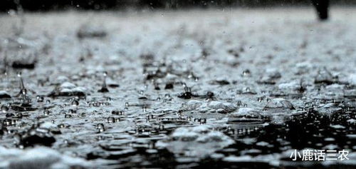 明天几点下大暴雨? 明天几点下大暴雨?