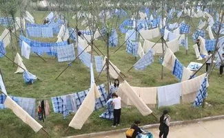未来一周,冷暖空气上演拉锯战,多地气温如坐过山车 未来一周,冷暖空气上演拉锯战,多地气温如坐过山车