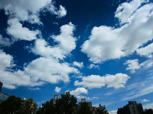 仙居天气预报，云深之处见晴雨
